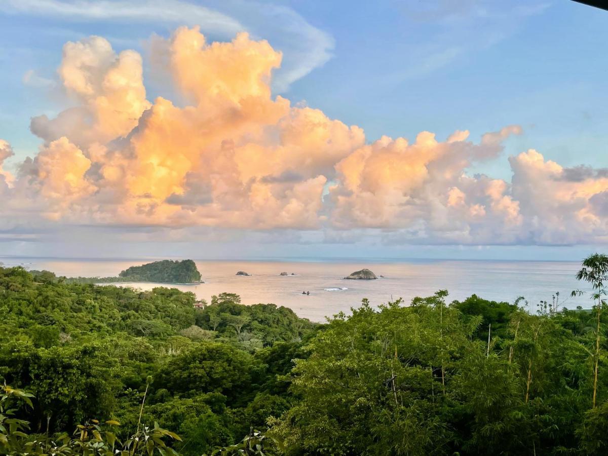 An Abundance Of Wildlife At Jungle Glory Home Abajo Manuel Antonio Kültér fotó